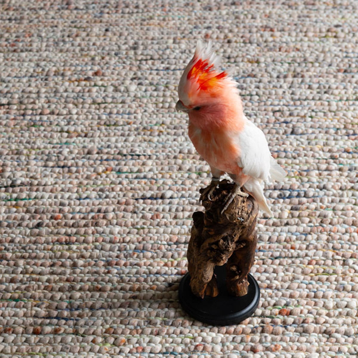 Modern vloerkleed bij Houweling Interieur van De Munk Carpets. Karpet uitgevoerd in crème met roze accenten.
